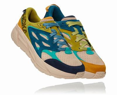 Hoka One One All Gender Clifton L Suede Road Running Shoes Multicolor (HO6852) Australia